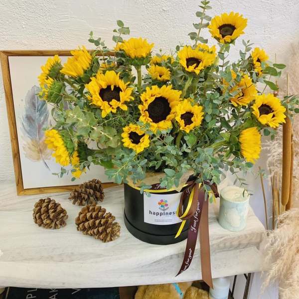 Sunflower arrangement in a black hatbox with ribbon