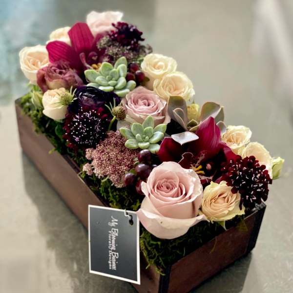 Venice - FB