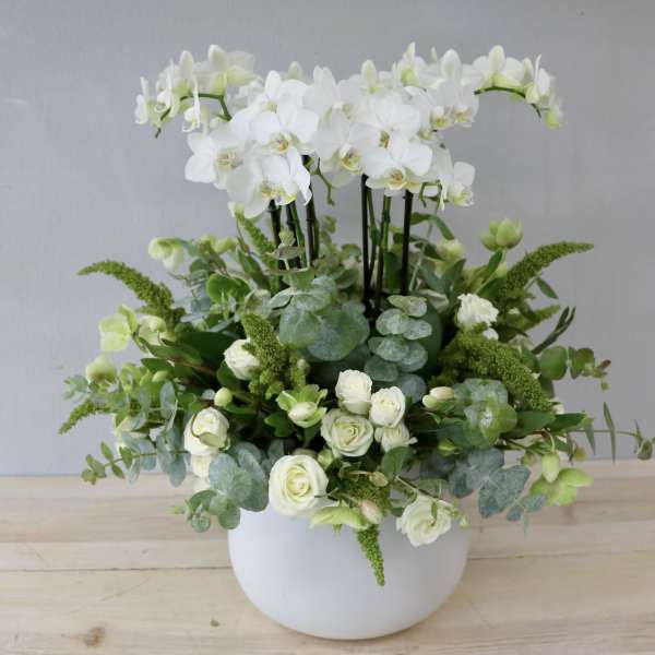 White orchids and roses arranged in a white vase