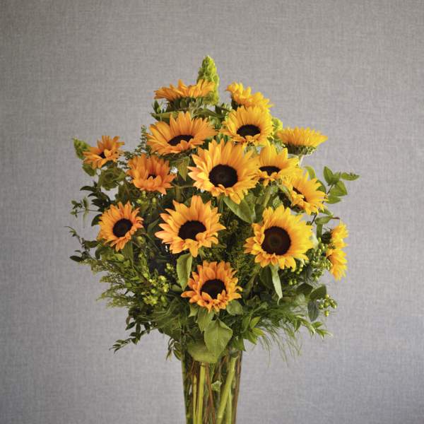 Spectacular Sunflowers