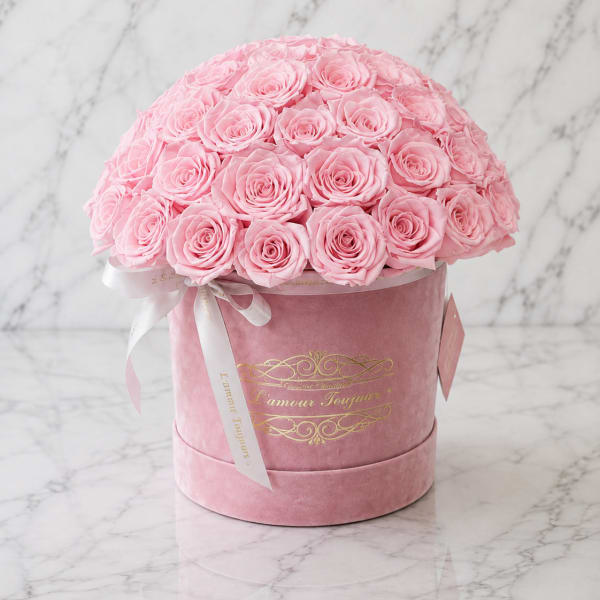 Pink roses arranged in a round velvet hat box with a ribbon