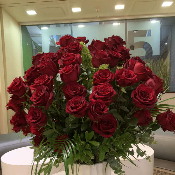 Large bouquet of red roses in a white vase