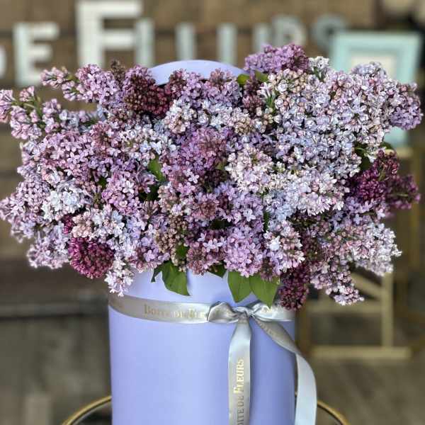 Lavender lilac bouquet in a round pastel box with a ribbon