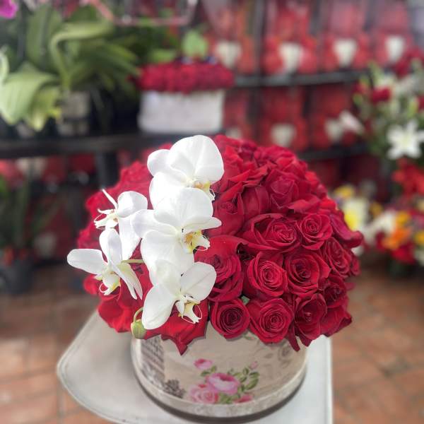 Red rose arrangement with white orchids in a round box