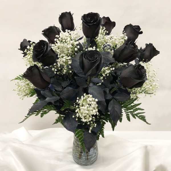 Black roses with white baby's breath in a clear glass vase