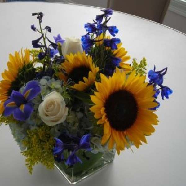 Sunny Sunflowers