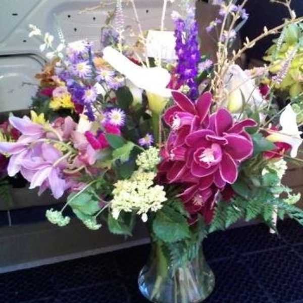 Outstanding Orchids