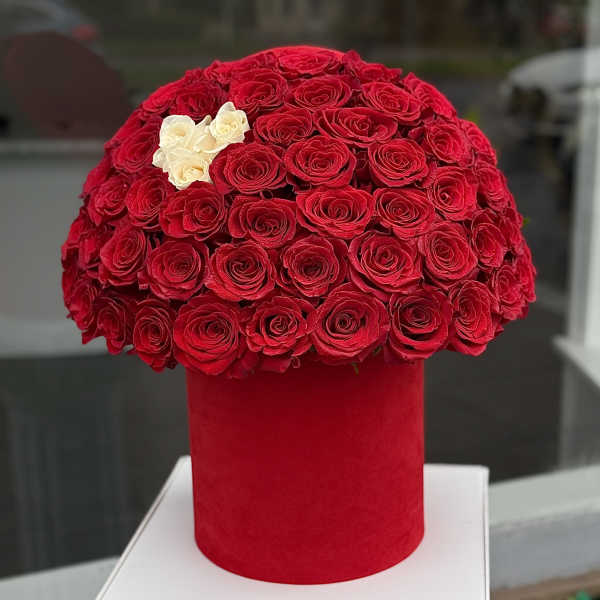 Red rose arrangement in a red cylindrical box with a few white roses