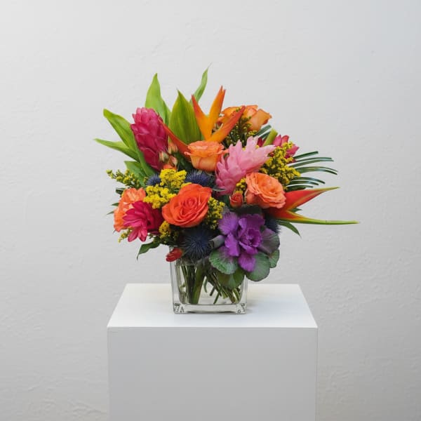 The Beaut