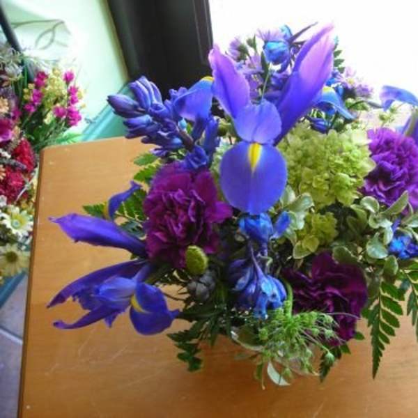 Iris Delight