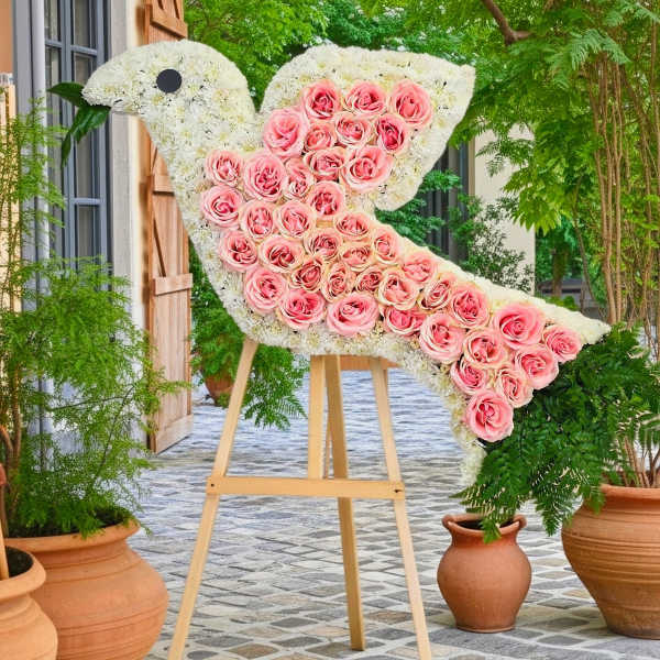 Peaceful Dove Standig Sympathy