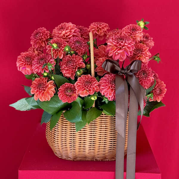 Pink dahlias in a wicker basket with a brown ribbon bow