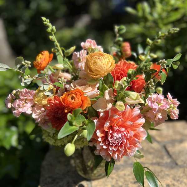 Orangina