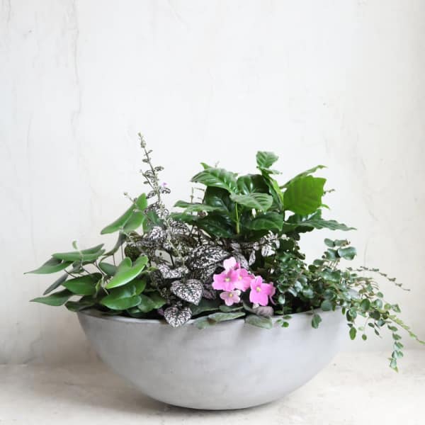 Low planter with mixed green plants and small pink flowers in a gray bowl