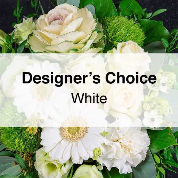 Designer Choice - All White