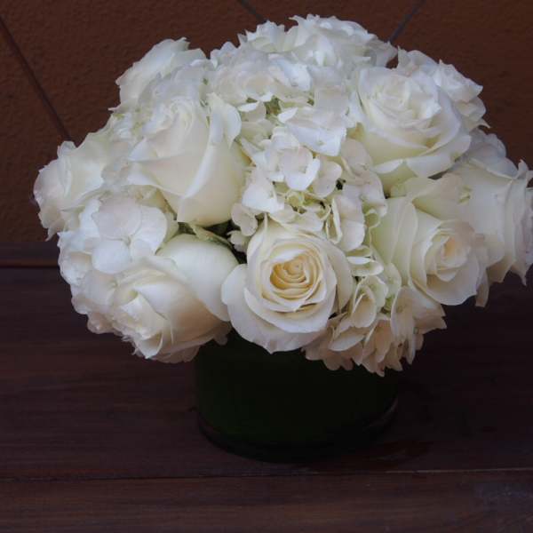 White Delight