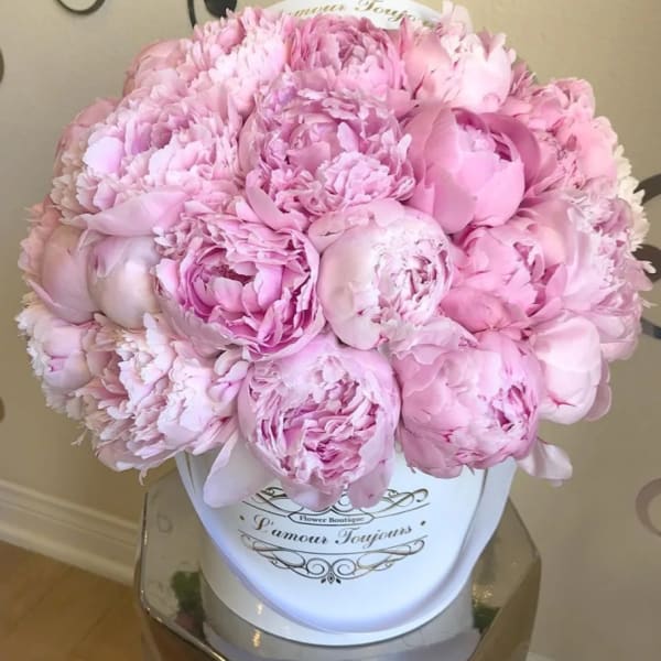 Large bouquet of pale pink peonies in a white hat box
