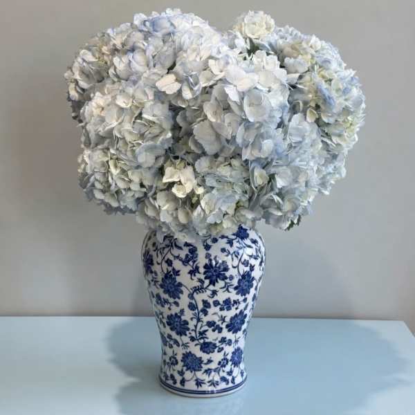Blue Sky