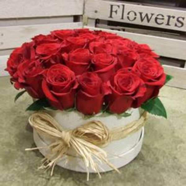 Red roses arranged in a white round box with a straw bow