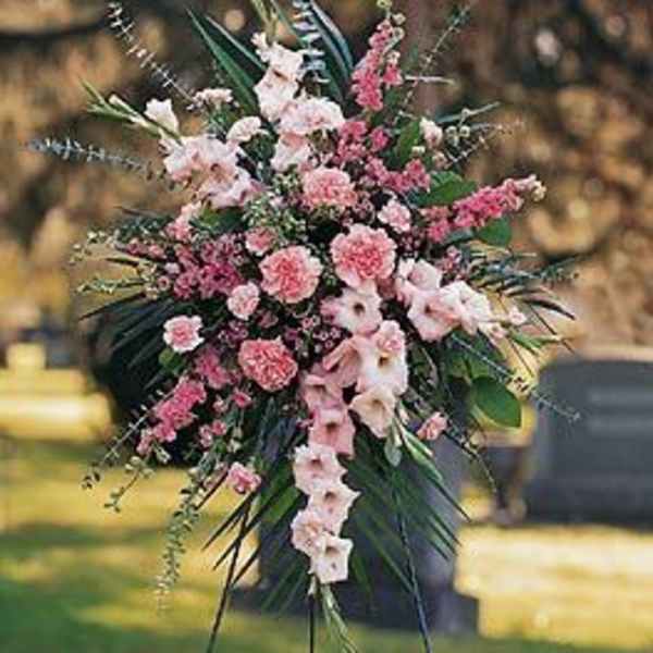 Pink Promise Standing Spray