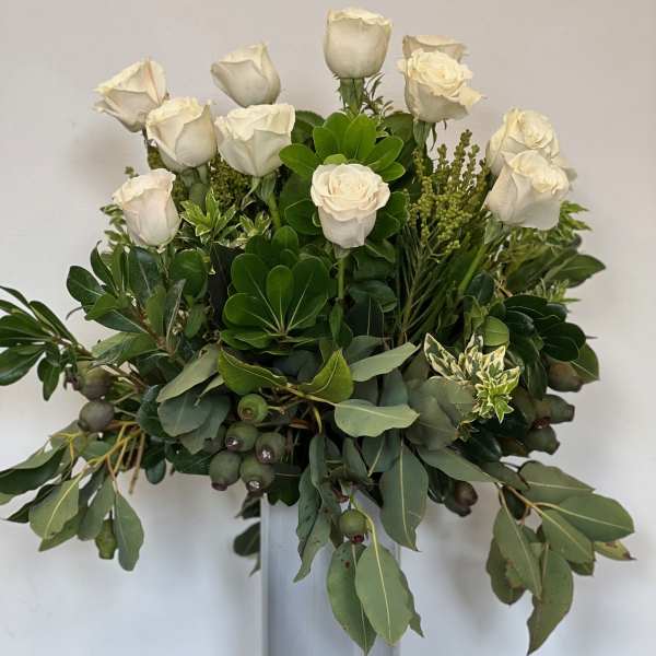 The Ilex Dozen