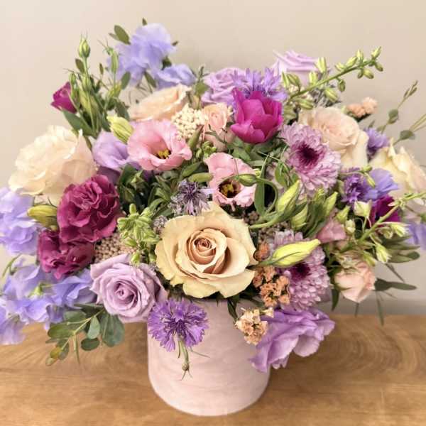 Soft Velvet