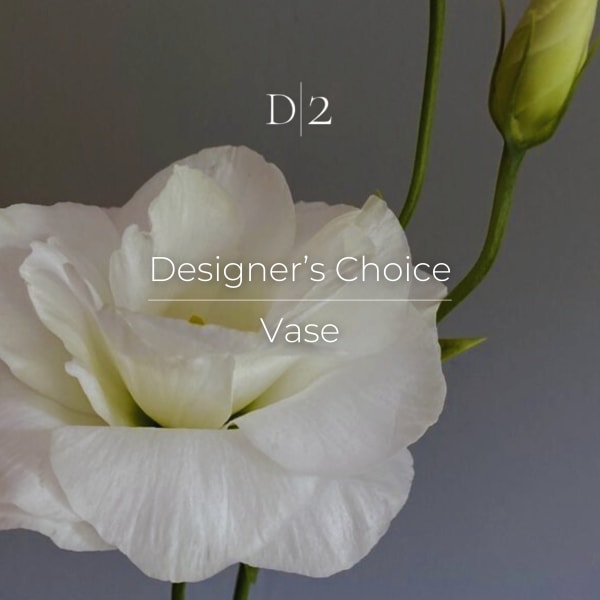 White lisianthus bloom with buds on a gray background