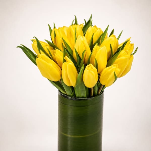 Golden Soleil Tulips