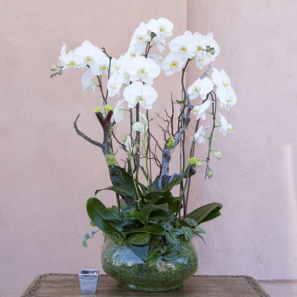 White orchid arrangement in a glass bowl vase on a table