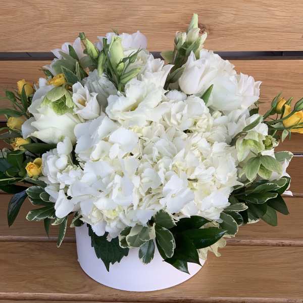 White hydrangea arrangement with yellow spray roses in a white box