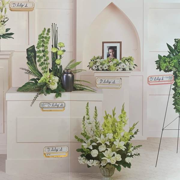 Tranquil Collection