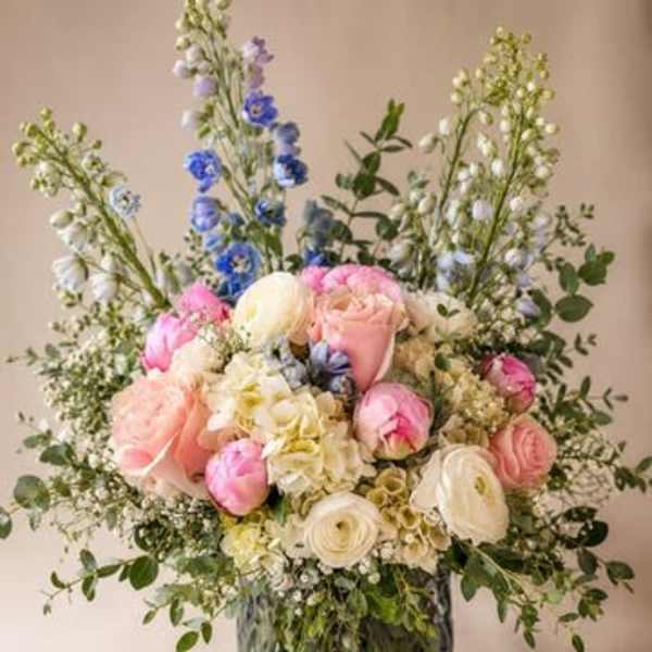 Iceberg Blooms