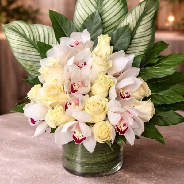 Tropical Elegance Luxe