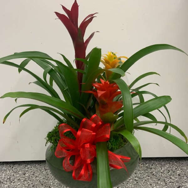 Tropical flower arrangement in a glass bowl with a red ribbon