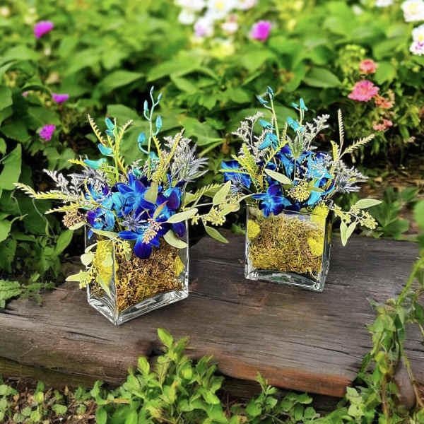 Two blue floral arrangements in square glass vases on a wooden bench
