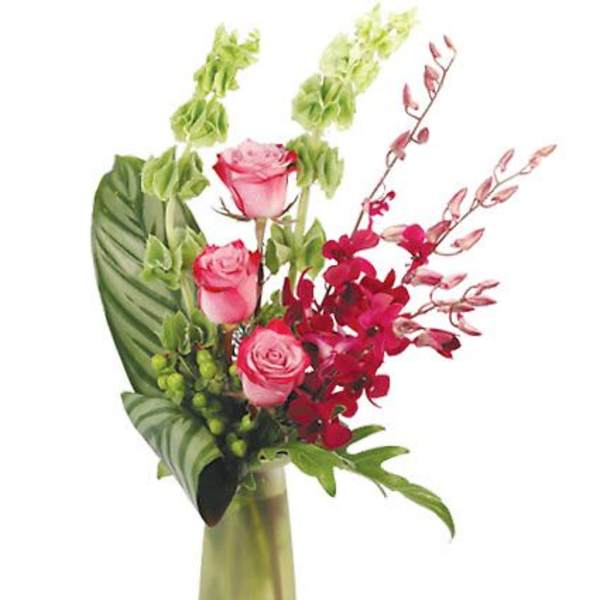 Plum Wonderful