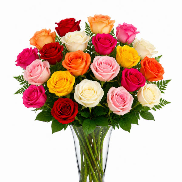 2 Dozen Rainbow Wish Roses