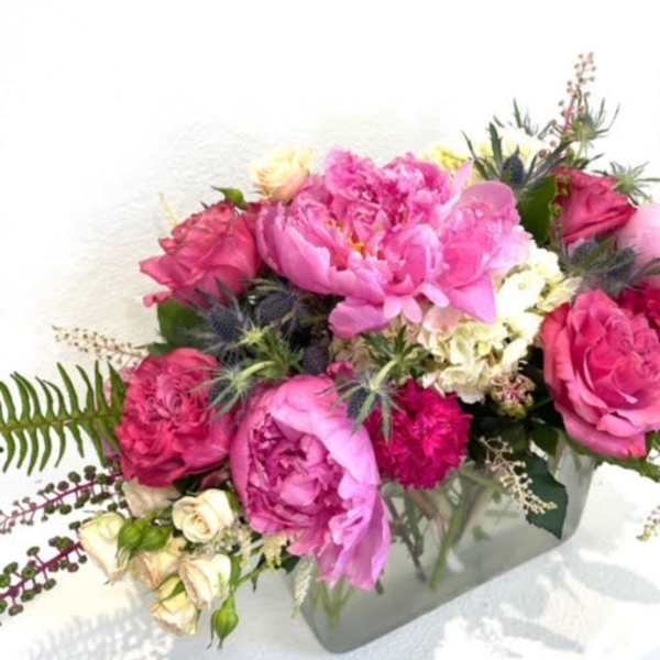 Monserate Majesty