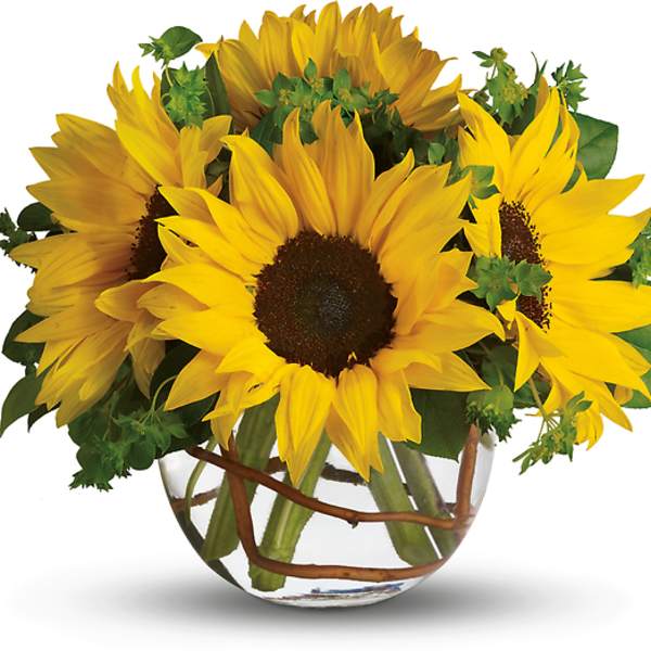 Bouquet of yellow sunflowers in a clear glass vase