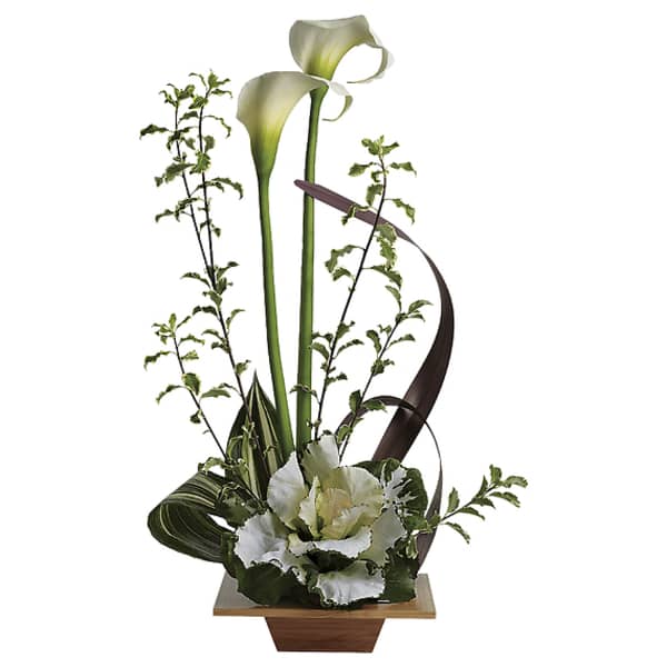 White calla lilies and green foliage in a modern wooden container