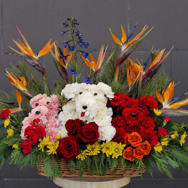 Basket arrangement with teddy bear flowers, roses, and bird-of-paradise blooms