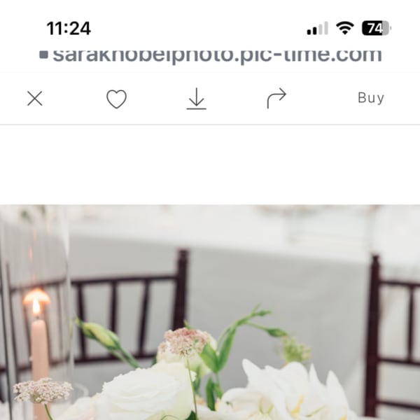 Whimsical Whites