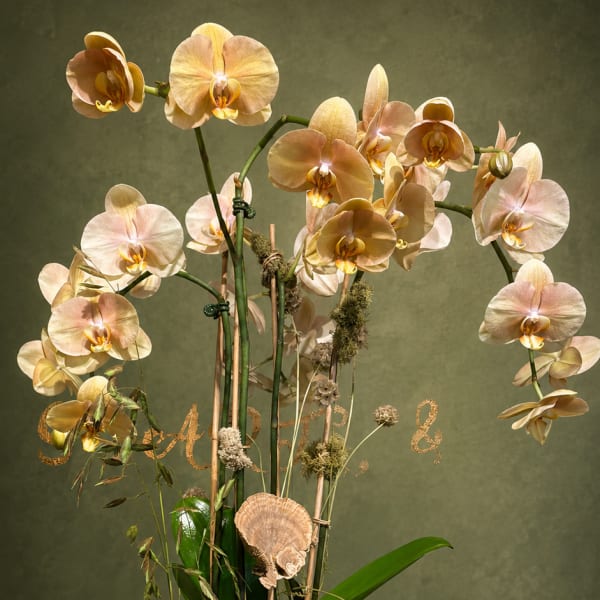 Tall orchid arrangement in a dark pedestal vase with moss and decorative accents