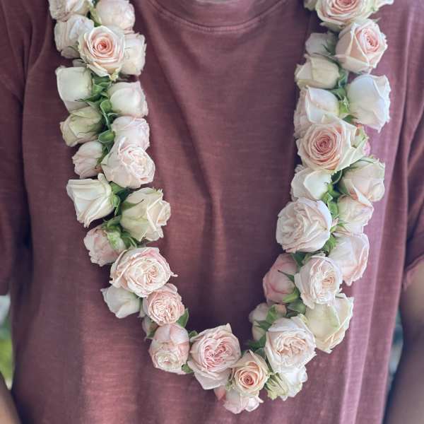 Blush & Lush
