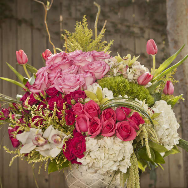 Il mio