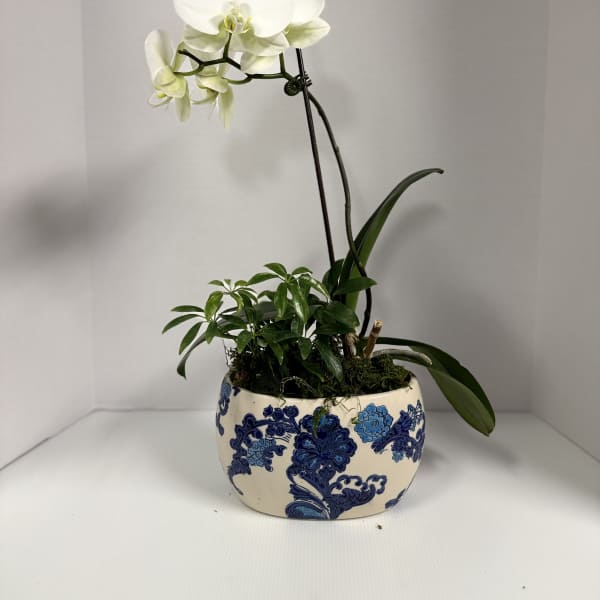 For You- Orchid Planter