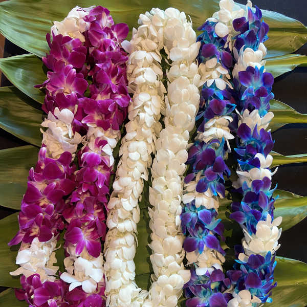 Colorful orchid leis laid on large green leaves