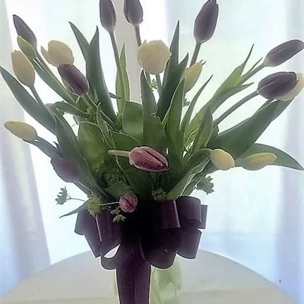 Bouquet of purple and cream tulips tied with a dark ribbon