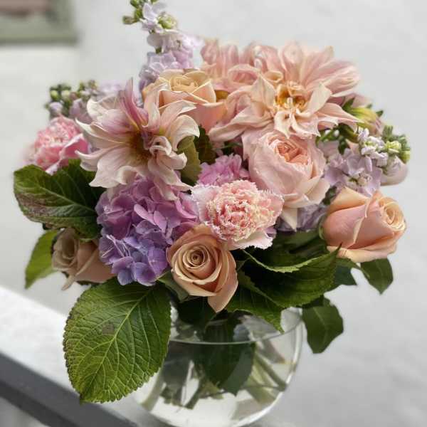 Low glass vase of peach roses, pink dahlias, and purple hydrangea with lush foliage