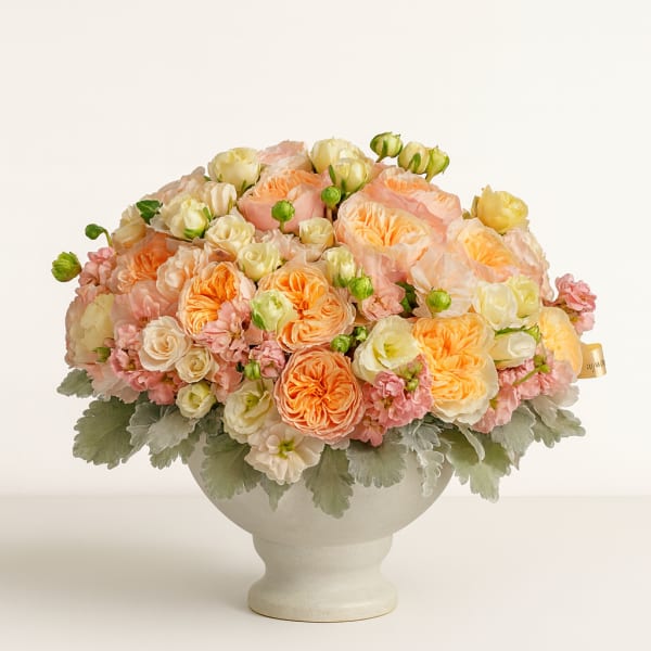 Peach and cream rose arrangement in a white pedestal vase